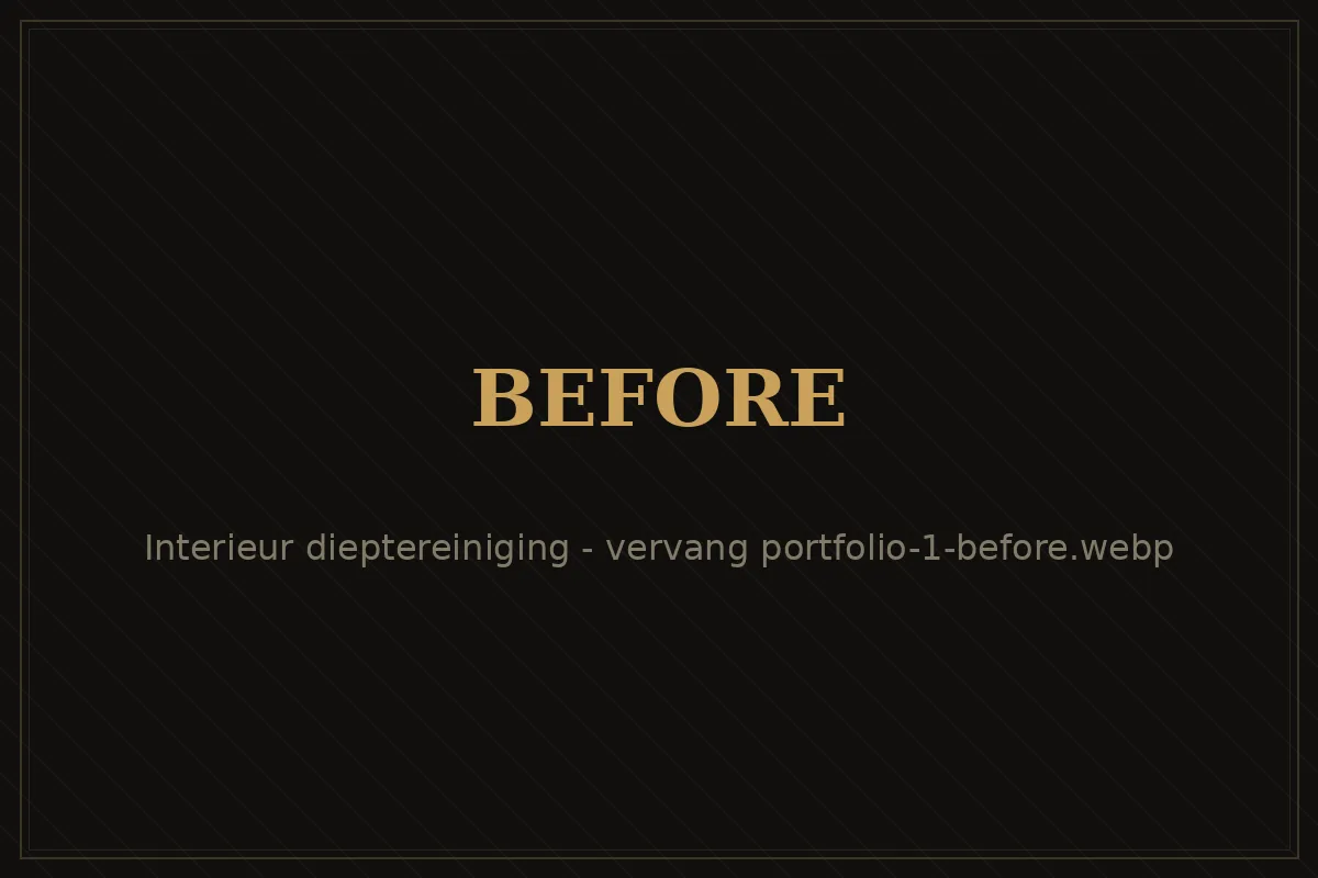 Auto-interieur voor de dieptereiniging